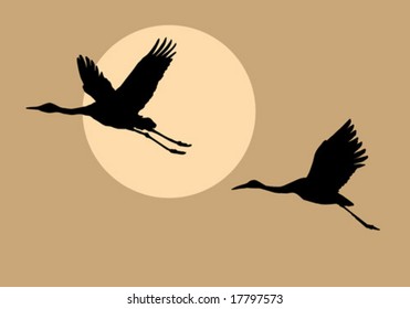 Vektorsilhouettes, die Krane auf Hintergrundsonne fliegen