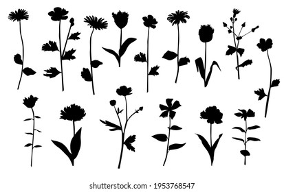 Vector silhouettes of garden and field spring flowers with leaves, flowering plants, twigs, floral designe, hand drawing, black color, isolated on a white background