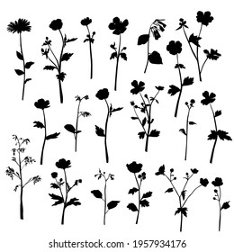 Vector silhouettes of garden and field spring flowers with leaves, flowering plants, twigs, floral designe, hand drawing, black color, isolated on a white background