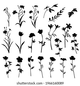 Vector silhouettes of garden and field spring flowers with leaves, flowering plants, twigs, floral designe, hand drawing, black color, isolated on a white background