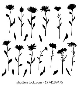 Vector silhouettes of garden and field spring flowers with leaves, flowering plants, twigs, floral designe, hand drawing, black color, isolated on a white background