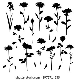 Vector silhouettes of garden and field spring flowers with leaves, flowering plants, twigs, floral designe, hand drawing, black color, isolated on a white background