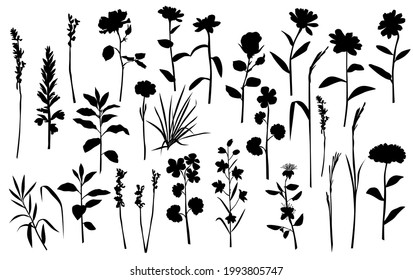 Vector silhouettes of garden and field spring flowers with leaves, flowering plants, twigs, floral designe, hand drawing, black color, isolated on a white background