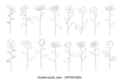 Vector silhouettes of garden and field spring flowers with leaves, flowering plants, twigs, floral designe, linear sketch, hand drawing, black color, isolated on a white background   