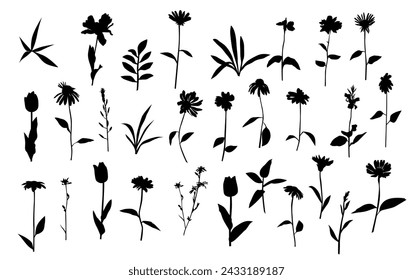 Vector silhouettes of garden and field spring flowers with leaves, flowering plants, twigs, floral designe, hand drawing, black color, isolated on a white background