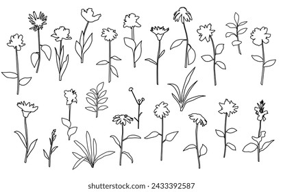 Vector silhouettes of garden and field spring flowers with leaves, flowering plants, twigs, floral designe, linear sketch, hand drawing, black color, isolated on a white background