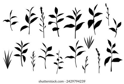 Vector silhouettes of grass with leaves, bush branches with leaves, black color, isolated on a white background