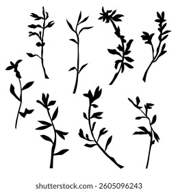 Vector silhouettes of grass with leaves, bush branches with leaves, black color, isolated on a white background