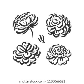 Vector silhouettes of hand drawn peony flowers isolated on white background