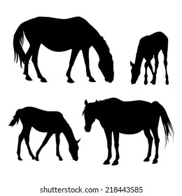 Vector silhouettes of horses and foals