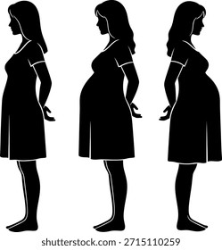 Siluetas de Vector que ilustran la progresión del embarazo. Tres mujeres que muestran el crecimiento del abdomen durante los trimestres y meses. Sanidad y mo