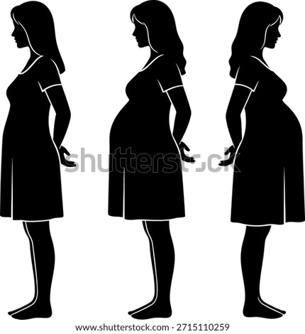 Vector silhouettes illustrating the progression of pregnancy. Three women showing the growth of the abdomen during trimestersmonths. Healthcare and mo