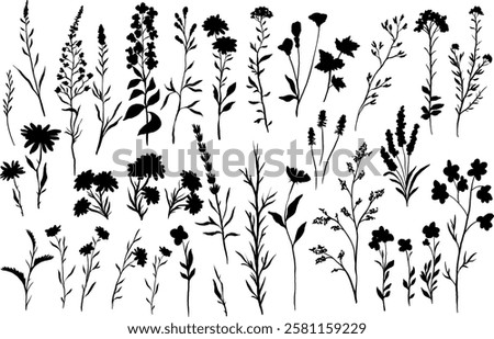 vector silhouettes illustration of various wildflowers and delicate plants set arranged artistically on a white background