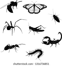 vector silhouettes of insects