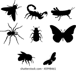 vector silhouettes of insects