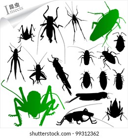 Vector silhouettes of insects