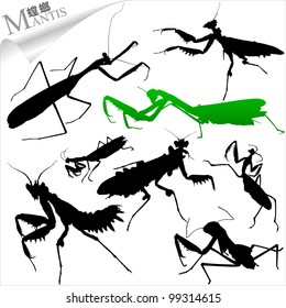 Vector Silhouettes of insects - mantis