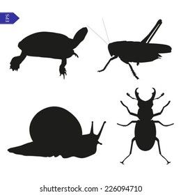 Vector silhouettes of insects and reptiles on a white