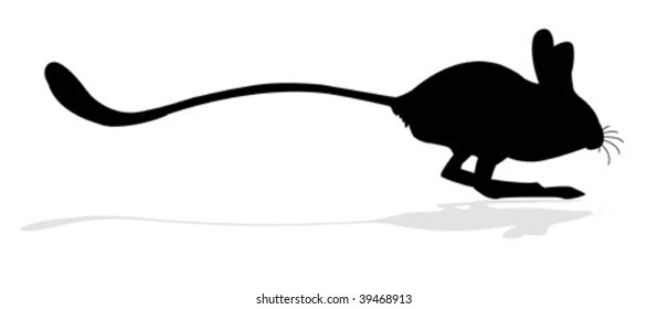 vector silhouettes of the jerboa  on white background