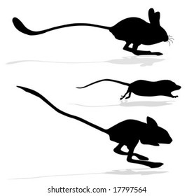 vector silhouettes of the jerboa and rats on white background