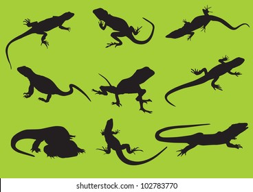 vector silhouettes lizard