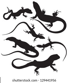 vector silhouettes of lizards