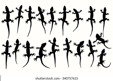 Vector silhouettes of lizards, geckos. 