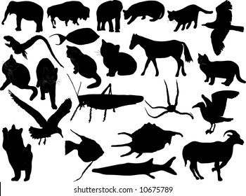 Vector silhouettes of miscellaneous animals