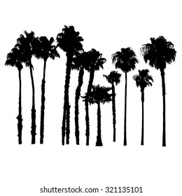 Vector Silhouettes of Palm Trees.