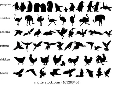 2,705 Black pelican silhouette Images, Stock Photos & Vectors ...