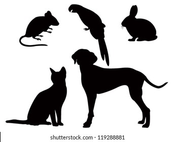 vector silhouettes of pets