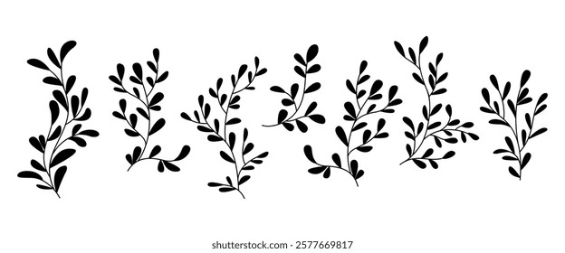Vector silhouettes of plants. Hand drawn algae illustration. Set of elements for design and decoration.