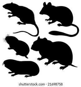 vector silhouettes rodent on white background