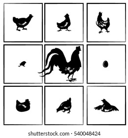 Vector silhouettes rooster, chicken, chicks and eggs. The symbol of the new year, red rooster