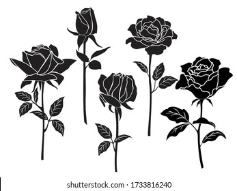 Vector silhouettes of roses buds. Flower design elements. Monochrome rose