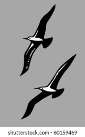 vector silhouettes of the sea birds