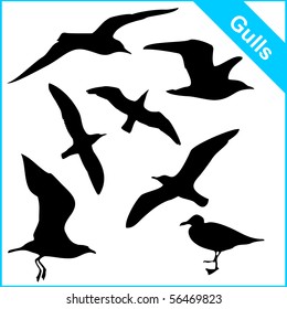 vector silhouettes of sea gulls in various poses