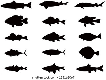 Vector silhouettes of sea and river fish