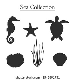 Vector silhouettes of seahorse, sea turtle, algae, mollusc shell, sponge and starfish. Isolated set of 6 objects on white background. Fully editable sea icons collection for your own projects.