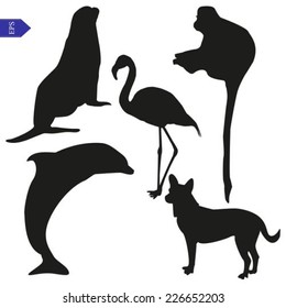 Vector silhouettes of seal, dog, flamingo, dolphin and monkey