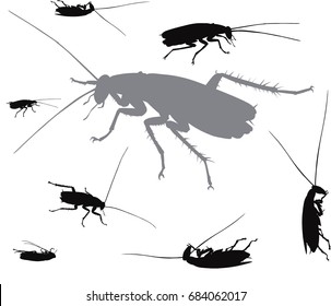 Vector silhouettes set. Cockroach. EPS 8