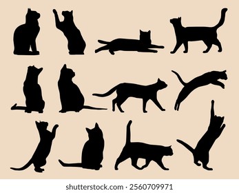 Vector silhouettes set of domestic cats in different positions in black color