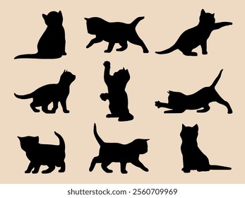 Vector silhouettes set of domestic kittens in different positions in black color