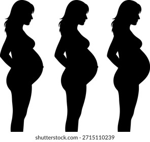Siluetas de Vector que muestran la progresión del embarazo en el cuerpo de una mujer, ilustrando el crecimiento de la protuberancia del bebé sobre diferentes estadiestrimesters.