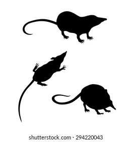 Vector silhouettes of a shrew.