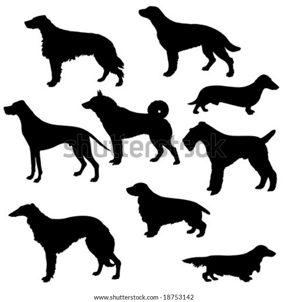 Vector Silhouettes Sorts Hunt Dogs On Stock Vector (Royalty Free ...