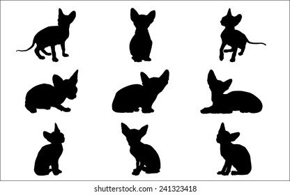 Vector silhouettes of sphynx cats