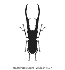 Vector silhouettes of Staghorn beetle or lucanus cervus on white background. 