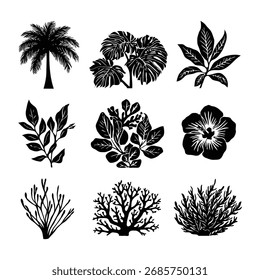 Vector silhouettes of starfish in various forms, black and white, simple line art style