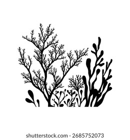 Vector silhouettes of starfish in various forms, black and white, simple line art style